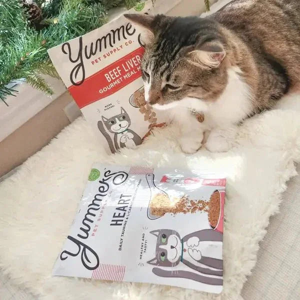 Yummers Heart Aid Beef Supplement Mix - in for Cats Food Topper 4 oz - Talis Us