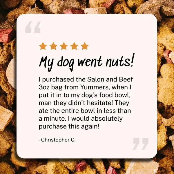 Yummers Salmon & Beef Recipe with Freeze Dried Proteins Dog Food - Talis Us