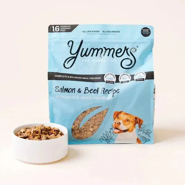 Yummers Salmon & Beef Recipe with Freeze Dried Proteins Dog Food - Talis Us