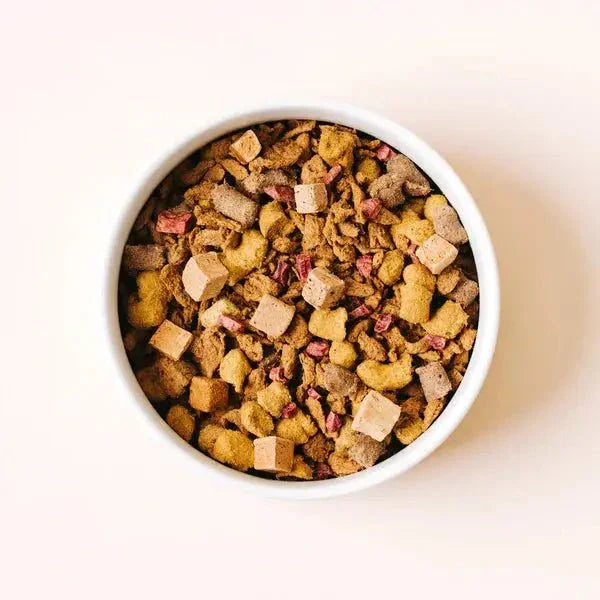 Yummers Salmon & Beef Recipe with Freeze Dried Proteins Dog Food - Talis Us