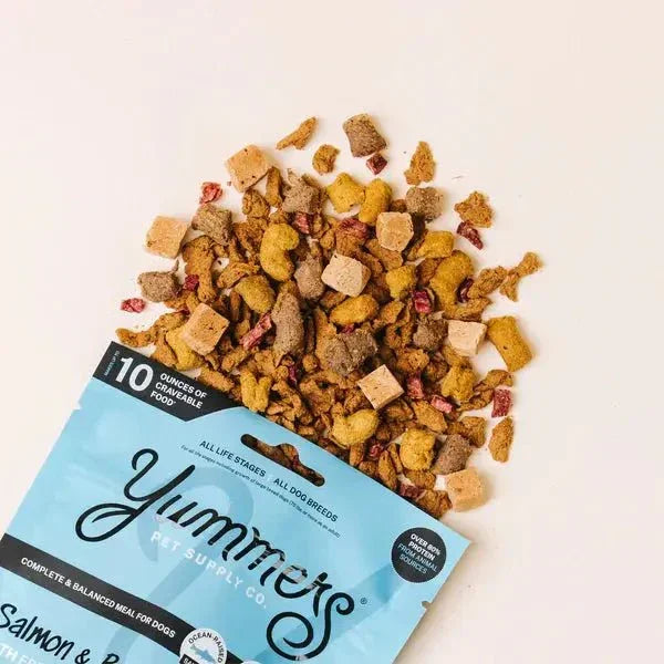 Yummers Salmon & Beef Recipe with Freeze Dried Proteins Dog Food - Talis Us