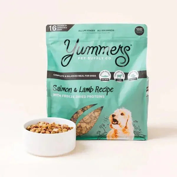 Yummers Salmon & Lamb Recipe with Freeze Dried Proteins Dog Food - Talis Us