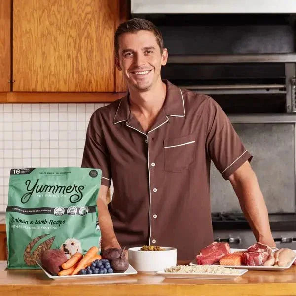 Yummers Salmon & Lamb Recipe with Freeze Dried Proteins Dog Food - Talis Us