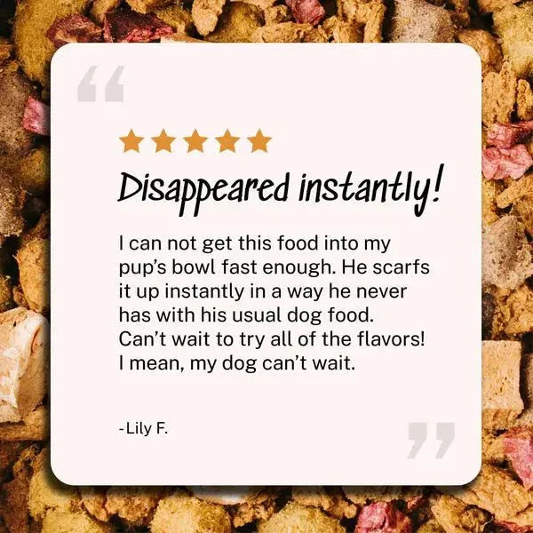 Yummers Salmon & Lamb Recipe with Freeze Dried Proteins Dog Food - Talis Us