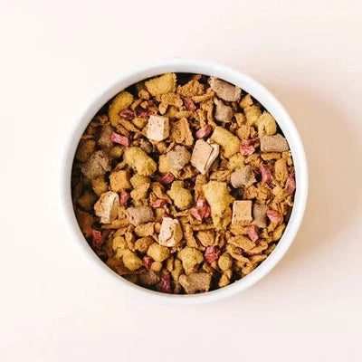 Yummers Salmon & Lamb Recipe with Freeze Dried Proteins Dog Food - Talis Us