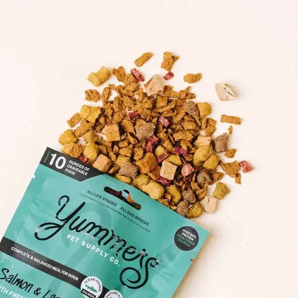Yummers Salmon & Lamb Recipe with Freeze Dried Proteins Dog Food - Talis Us