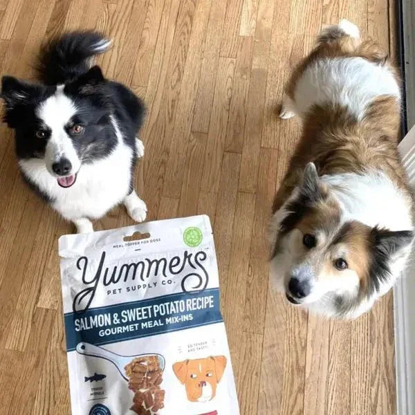 Yummers Salmon & Sweet Potato Recipe Gourmet Meal Mix in for Dogs Food Topper, 5 oz. - Talis Us
