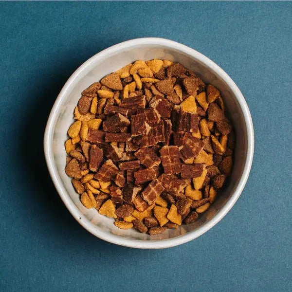 Yummers Salmon & Sweet Potato Recipe Gourmet Meal Mix in for Dogs Food Topper, 5 oz. - Talis Us