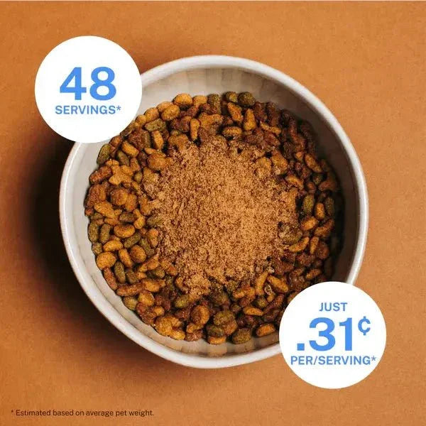 Yummers Skin & Coat Aid Beef Supplement Mix in for Cats Food Topper, 4 oz - Talis Us