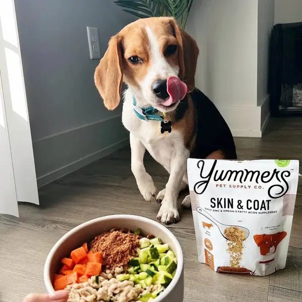 Yummers Skin & Coat Aid Beef Supplement Mix in for Dogs Dog Food Topper, 8 oz. - Talis Us