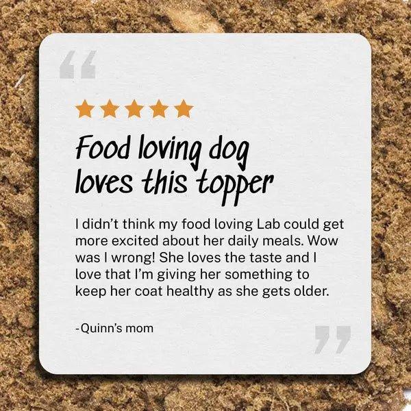 Yummers Skin & Coat Aid Beef Supplement Mix in for Dogs Dog Food Topper, 8 oz. - Talis Us