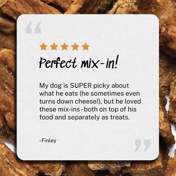 Yummers Turkey & Cranberry Recipe Gourmet Meal Mix in for Dogs Food Topper, 5 oz - Talis Us
