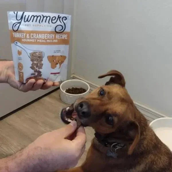 Yummers Turkey & Cranberry Recipe Gourmet Meal Mix in for Dogs Food Topper, 5 oz - Talis Us