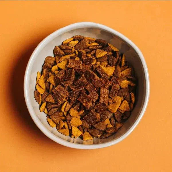 Yummers Turkey & Cranberry Recipe Gourmet Meal Mix in for Dogs Food Topper, 5 oz - Talis Us