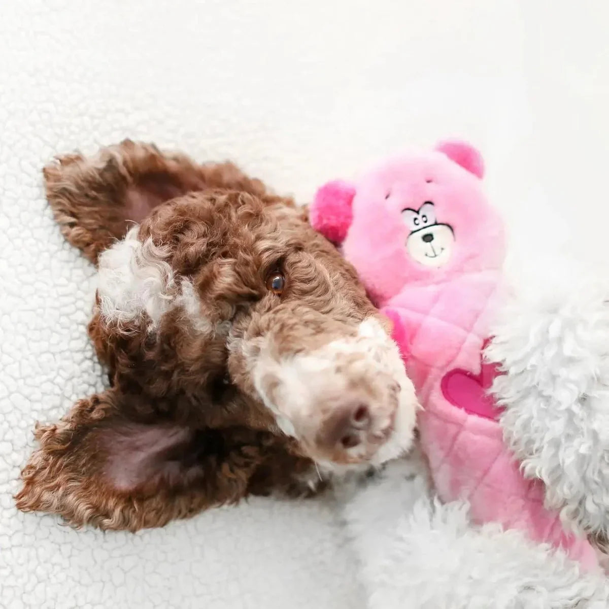 ZippyPaws Jigglerz Pink Bear Dog Toys - Talis Us