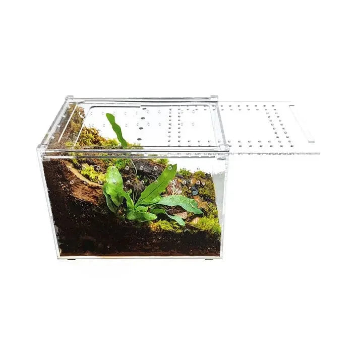 Acrylic Enclosure Clear Top Reptile Habitat Terrarium cage for Terrestrial Arboreal Tarantula HerpCult