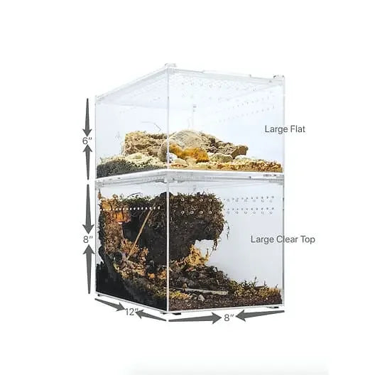 Acrylic Enclosure Large Flat Reptile Breeding Box Terrarium Cage for Insect Tarantulas Amphibians HerpCult