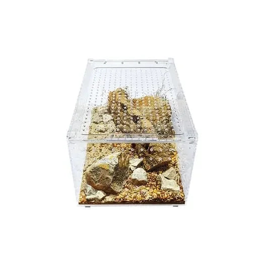 Acrylic Enclosure Large Flat Reptile Breeding Box Terrarium Cage for Insect Tarantulas Amphibians HerpCult