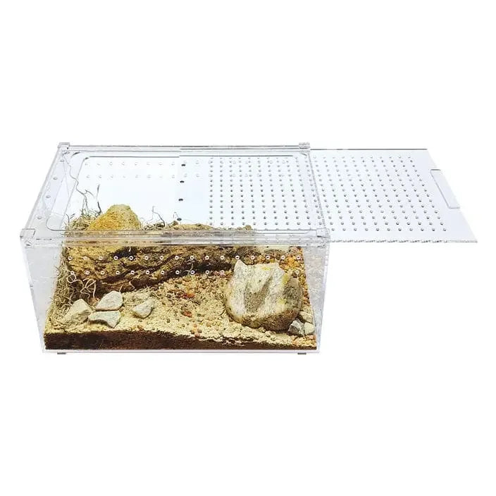 Acrylic Enclosure Large Flat Reptile Breeding Box Terrarium Cage for Insect Tarantulas Amphibians HerpCult