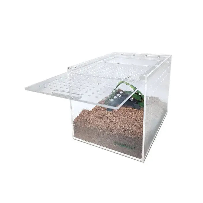Acrylic Enclosure Medium Flat Reptile Habitat Terrarium cage for Terrestrial Arboreal Tarantula HerpCult