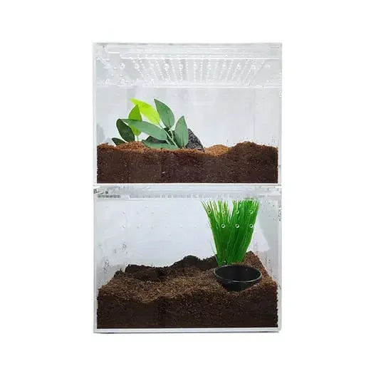 Acrylic Enclosure Medium Flat Reptile Habitat Terrarium cage for Terrestrial Arboreal Tarantula HerpCult