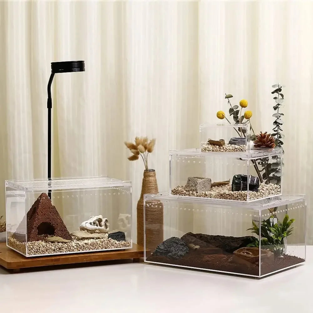 Acrylic Enclosure Medium Flat Reptile Habitat Terrarium cage for Terrestrial Arboreal Tarantula HerpCult