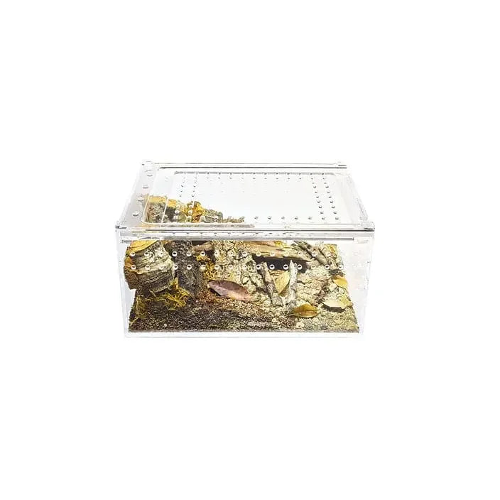 Acrylic Enclosure Small Flat Transparent Reptile Breeding Box Terrarium Cage for Tarantula Scorpion HerpCult