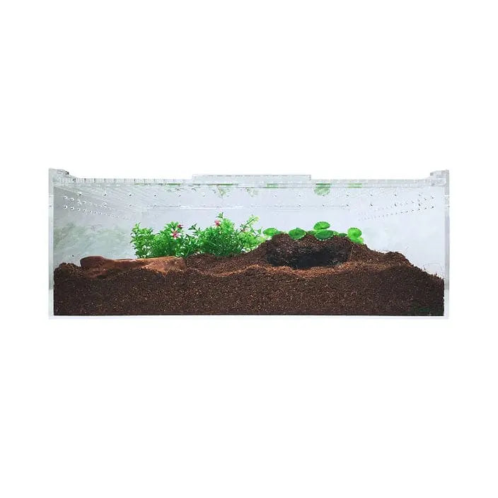 Acrylic Enclosure XLarge Flat Transparent Reptile Breeding Box Terrarium Cage Tank for Reptile HerpCult