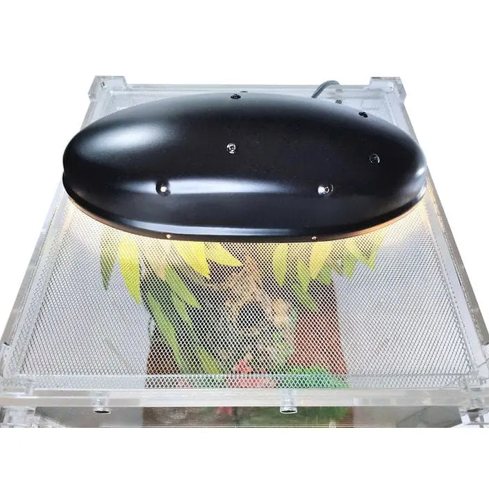 Acrylic Front-Opening Enclosure Transparent Reptile Breeding Box Terrarium Cage Tank for Geckos, HerpCult