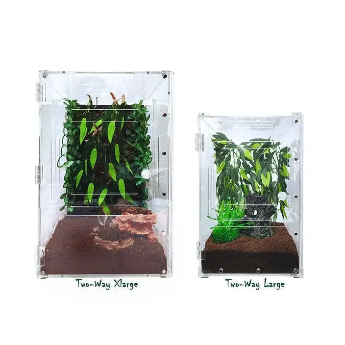 Acrylic Two Way Enclosure Large Transparent Reptile Breeding Box Terrarium Cage Tank for Reptiles, HerpCult