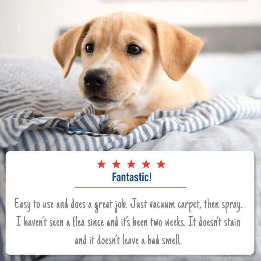 Adams Flea & Tick Carpet & Home Spray 16 oz Adams CPD