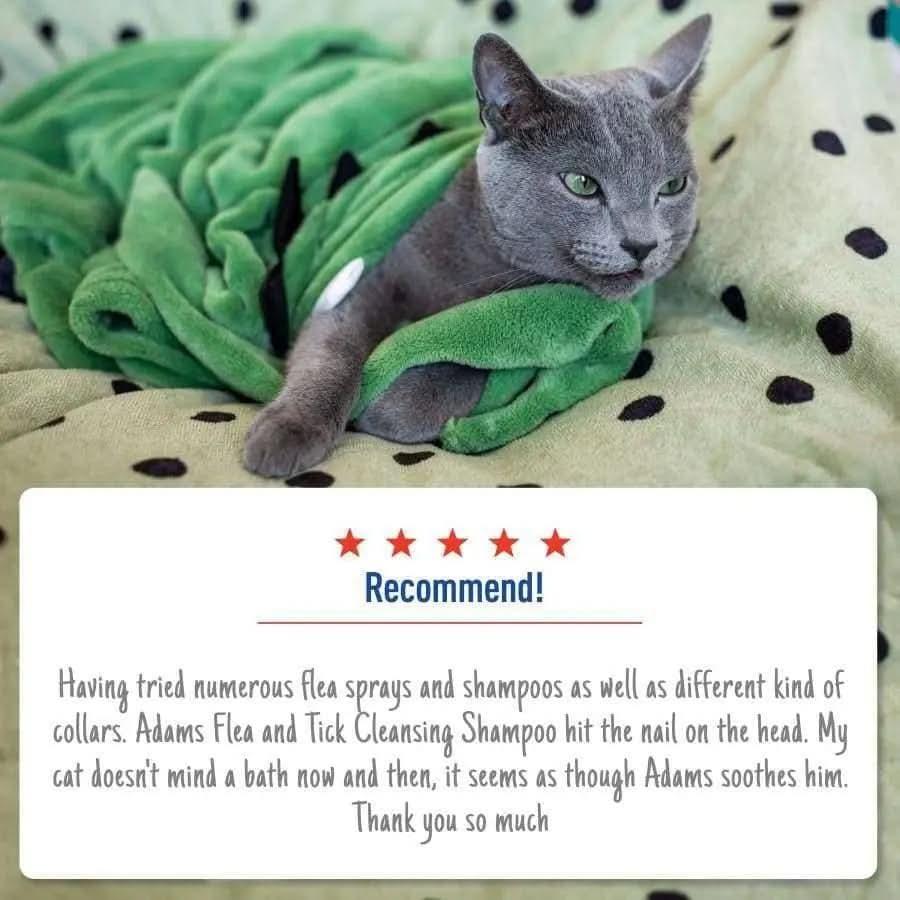 Adams Flea and Tick Cleansing Shampoo for Cats and Dogs 12 oz Adams CPD