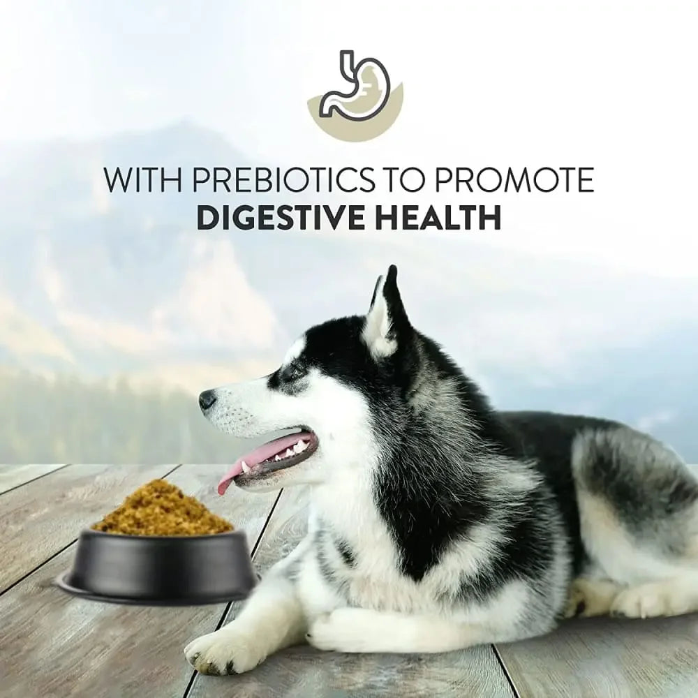 Addiction Herbed Lamb & Potatoes Raw Alternative Dog Food 2 lb Addiction
