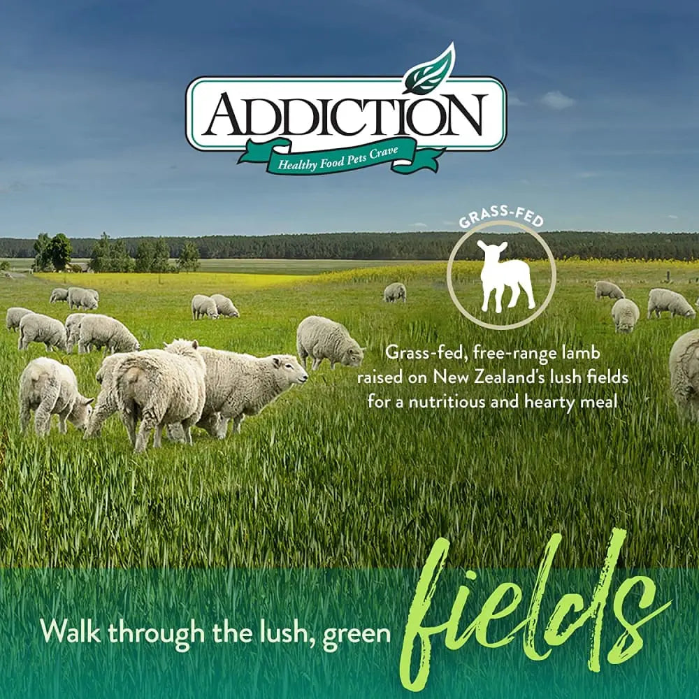 Addiction Le Lamb Grain Free Dry Dog Food Addiction