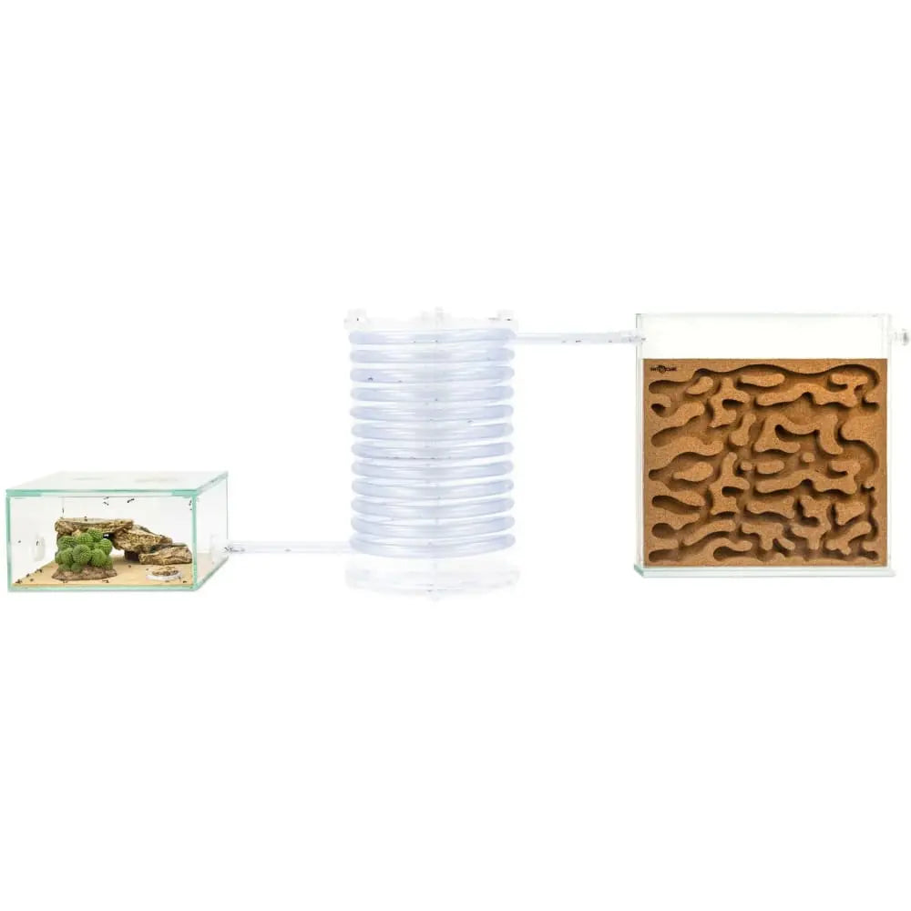 Ant spiral tower L 20 Talis Us