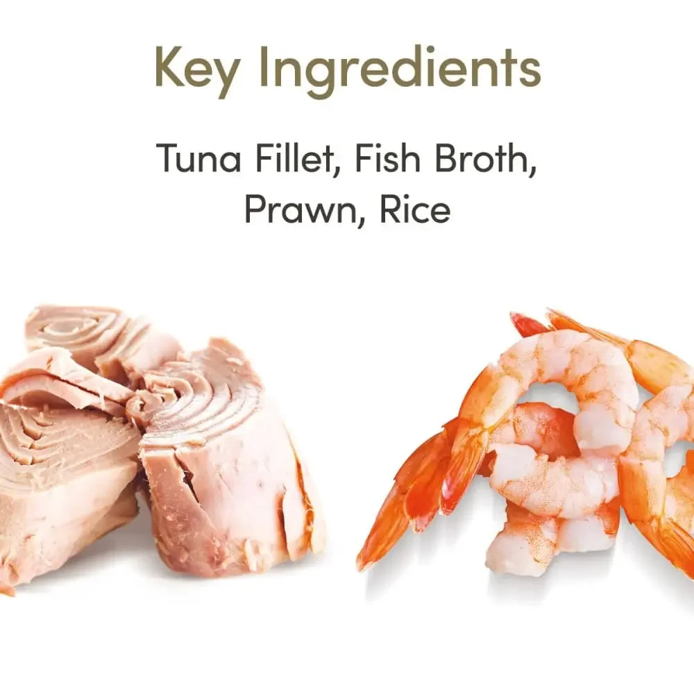 Applaws Natural Wet Cat Food Tuna Fillet with Prawn in Broth 2.12oz Pot Applaws