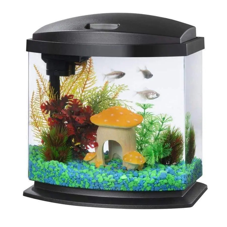 15 Gallon Beginner Clownfish Saltwater Aquarium Kit with App Controlled  Smart LED Lighting, Filtration, Decor, and Setup Guide