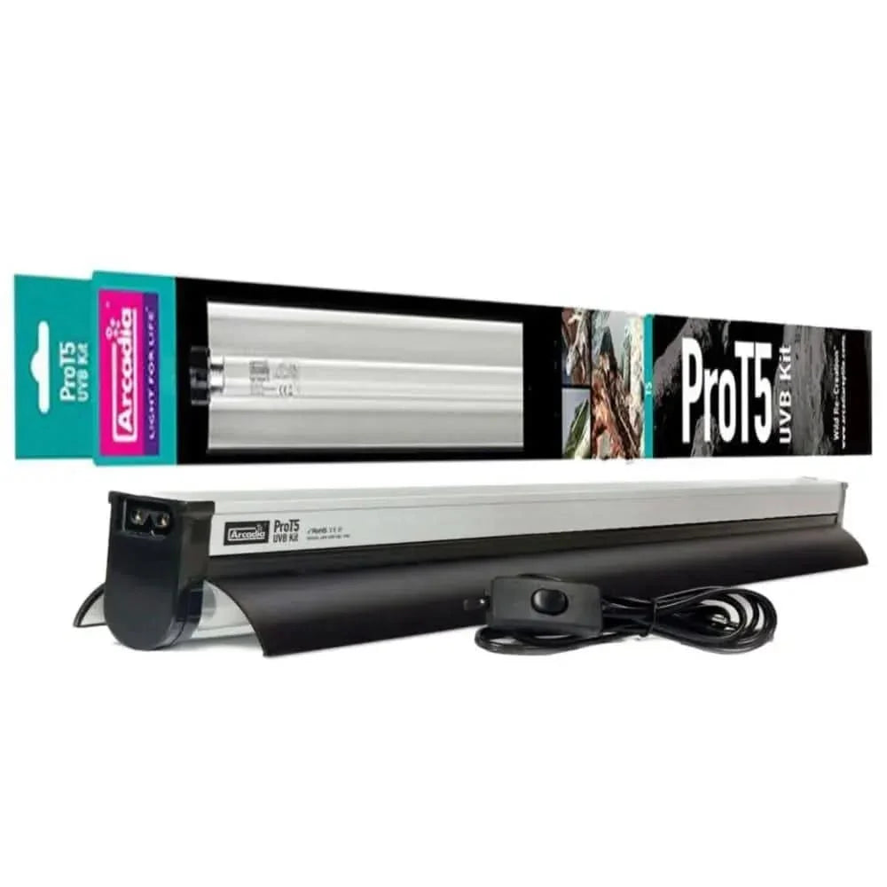 Arcadia Prot5 UVB lighting kit suitable for reptile habitats, including bearded dragons and uromastyx