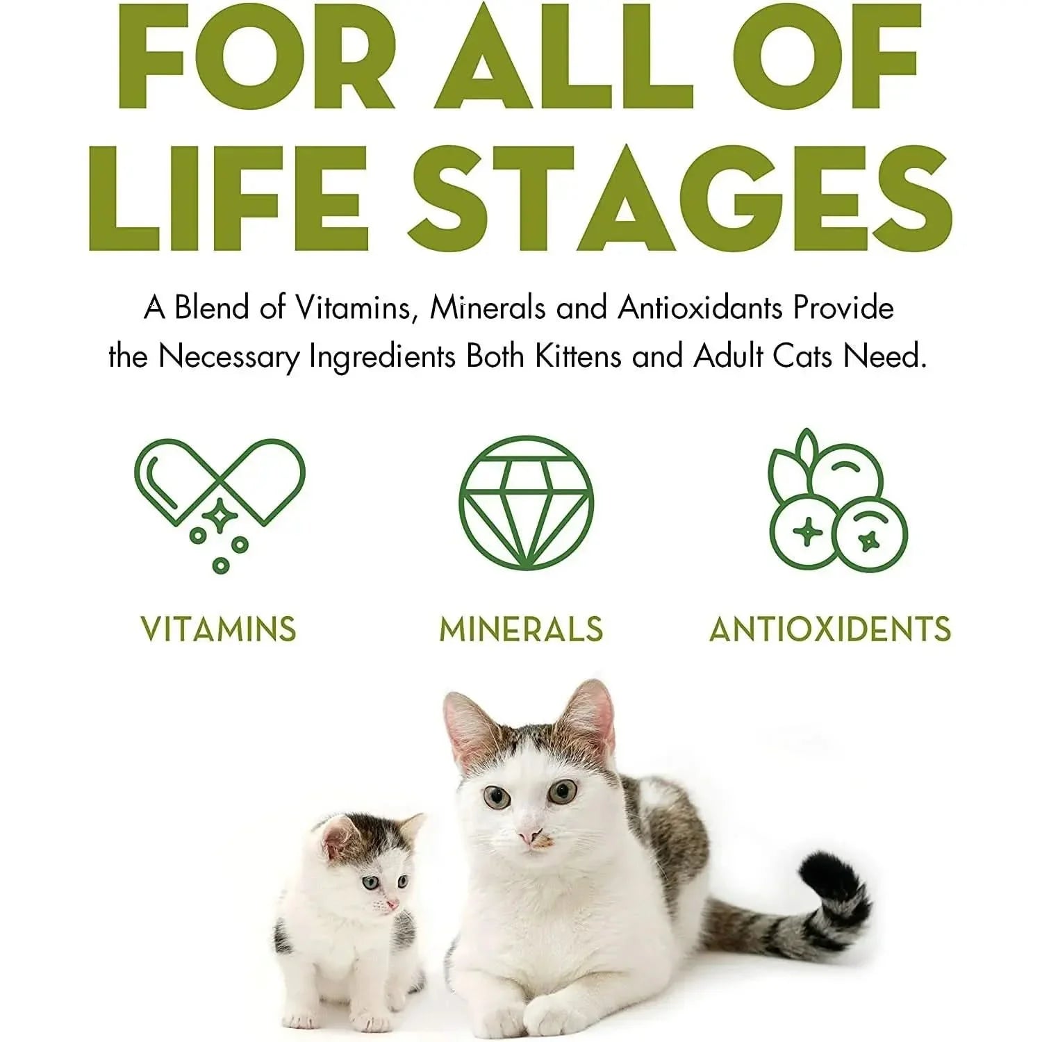 AvoDerm Grain Free Tuna & Crab Entree in Gravy Canned Cat Food provides essential vitamins, minerals, and antioxidants for kittens and adult cats. Icons show nutrients plus kitten and adult cat images. Suitable for all life stages.