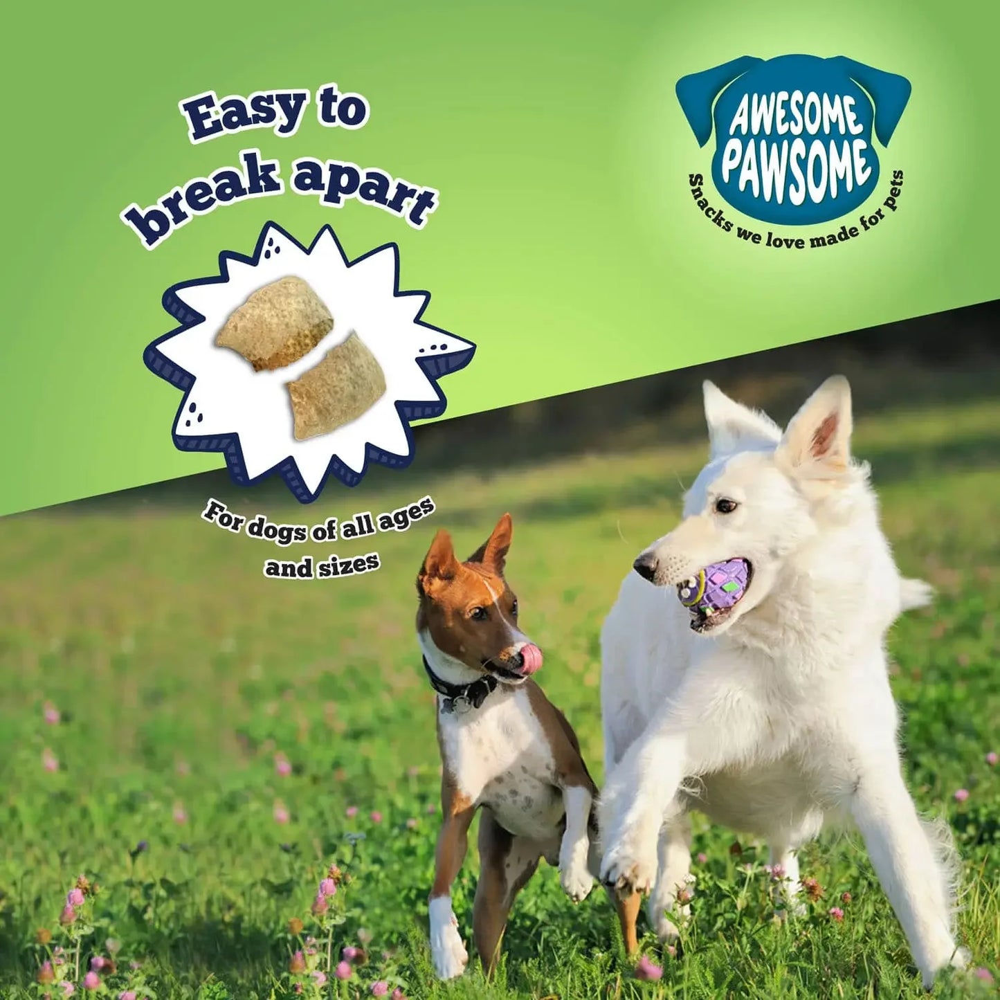 Awesome Pawsome Chicken Dumpling Dog Treats 3oz Awesome Pawsome