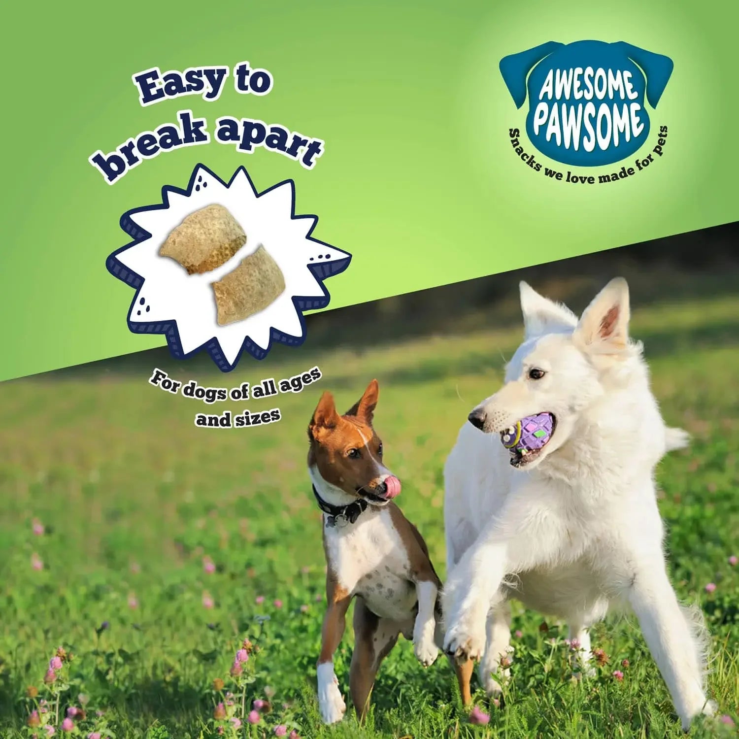 Awesome Pawsome Chicken Dumpling Dog Treats 3oz Awesome Pawsome