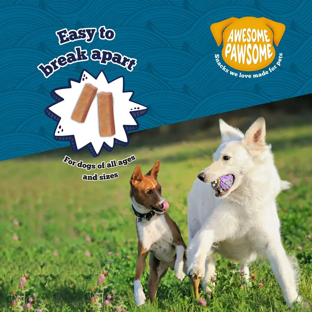 Awesome Pawsome Salmon Supreme Recipe Dog Treats 3oz Awesome Pawsome