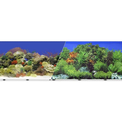 Background Double-sided Coral Reef-freshwater Blue Ribbon Pet