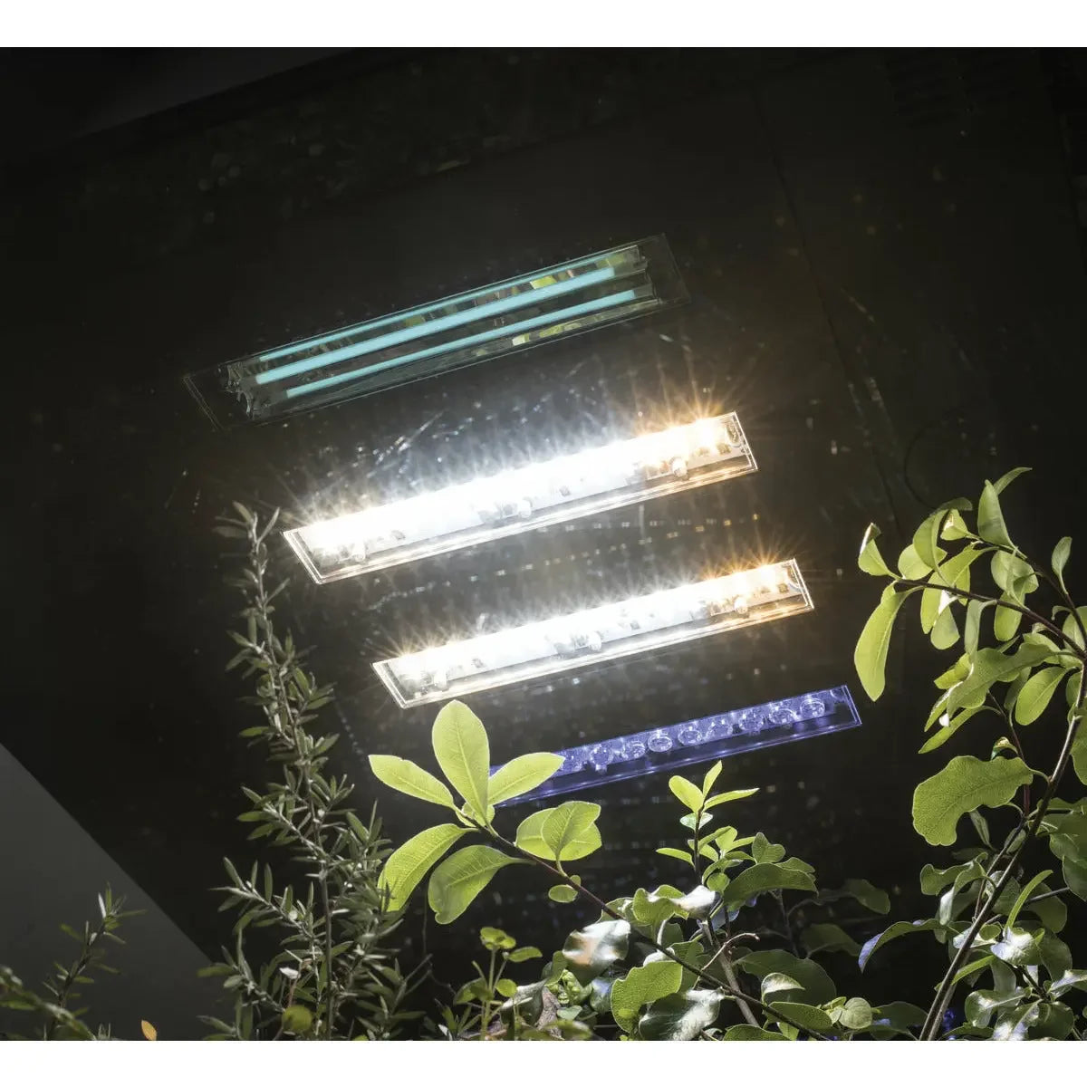 LED lighting system illuminating the interior of the BiOrb Earth 125 Reptile Terrarium
