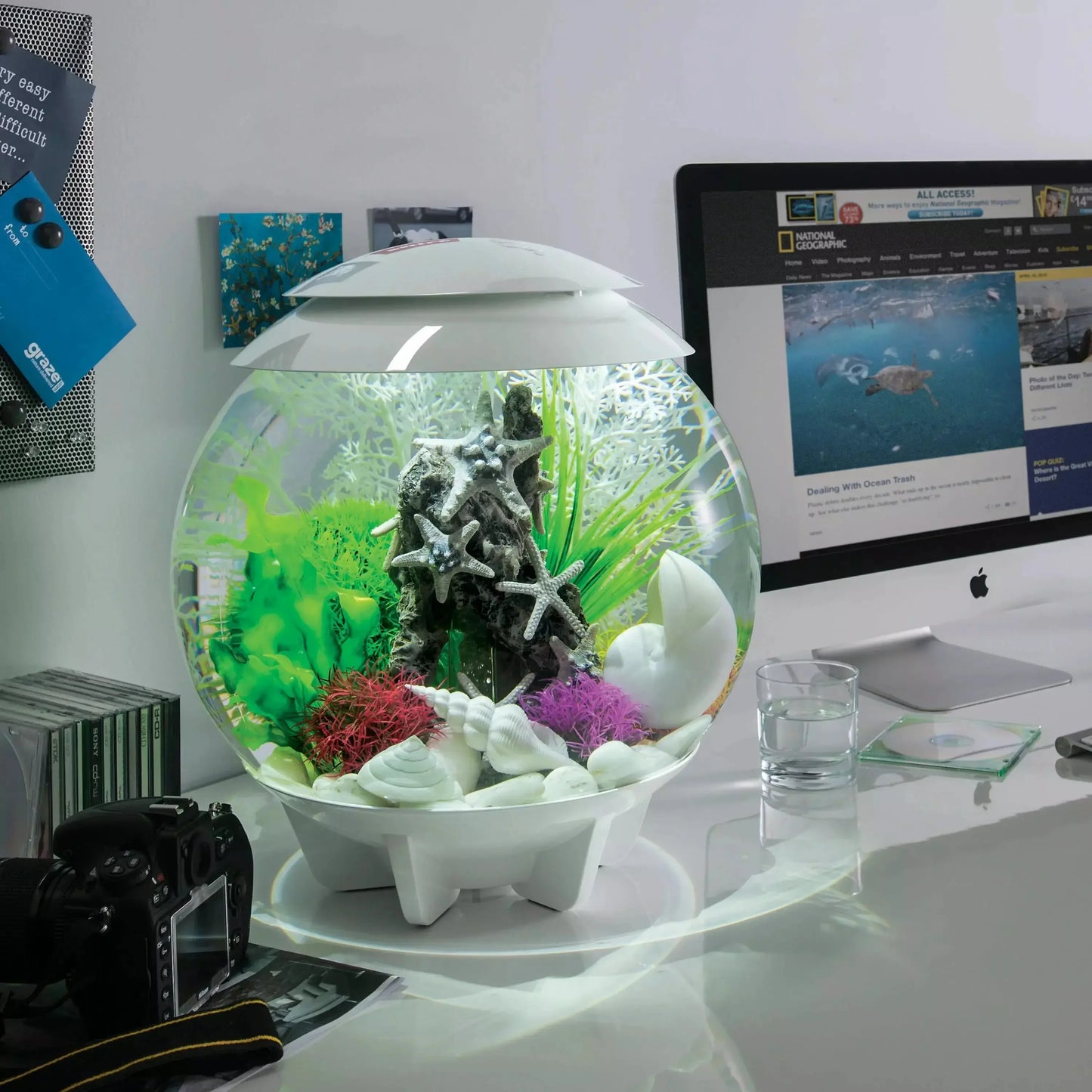 BiOrb Easy Plant Set Green Aquarium Decor BiOrb