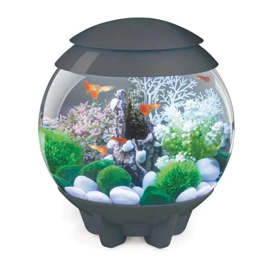 Glofish® Cresent Aquarium Kit