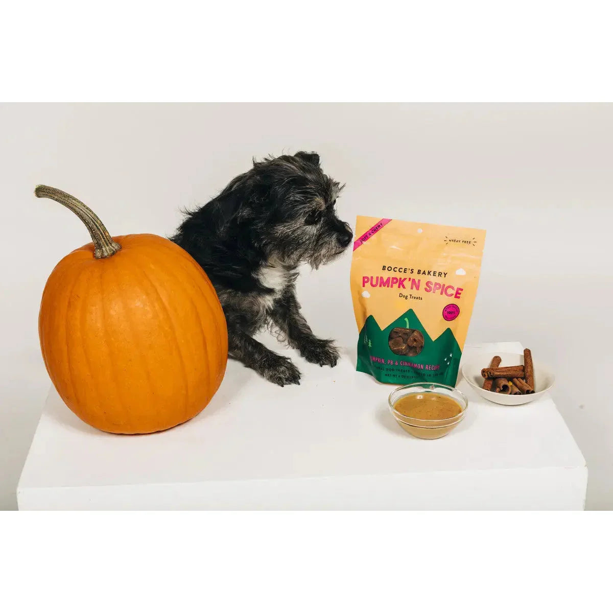 Bocce's Bakery Pumpk'n Spice 6oz Soft & Chewy Dog Treats Bocce's Bakery