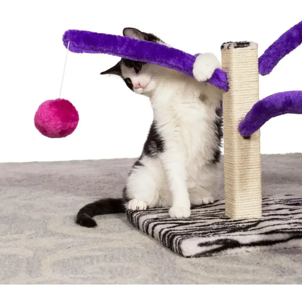 Bounce 'n Spring Prevue Pet