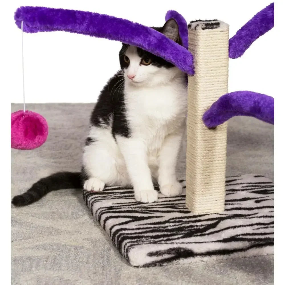 Bounce 'n Spring Prevue Pet