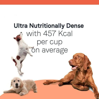 Three dogs—a jumping Jack Russell, a laying Golden Retriever, and a laying Vizsla—are pictured with the text: CANIDAE All Life Stages Large Breed Formula with Turkey Meal & Brown Rice Dry Dog Food, premium nutrition at 457 Kcal per cup.